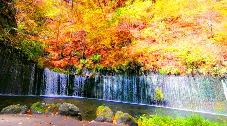 白糸の滝