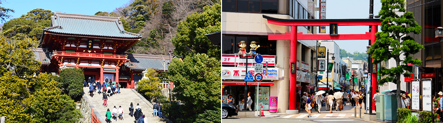 鶴岡八幡宮や小町通り