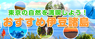 おすすめ伊豆半島