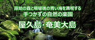 屋久島・奄美大島の旅