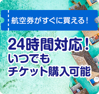 航空券がすぐに買える!