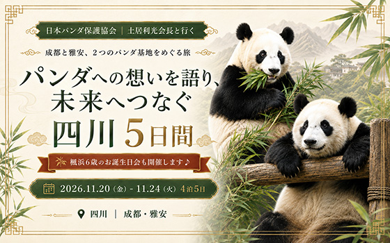【成田発】土居会長と行く！パンダへの想いを語り、未来へつなぐ四川5日間