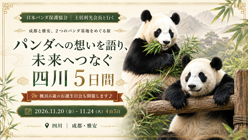 【成田発】土居会長と行く！パンダへの想いを語り、未来へつなぐ四川5日間
