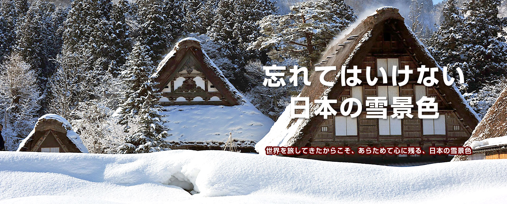 忘れてはいけない、日本の雪景色|冬の宿泊バスツアー特集